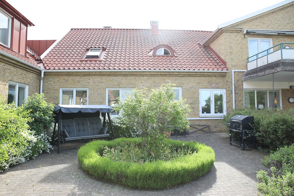 Från skuggan i hammocken ser man den gröna innergården.