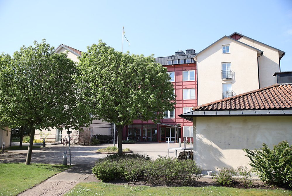 Två stora träd ramar in ett flervåningshus i vitt och
rött. 