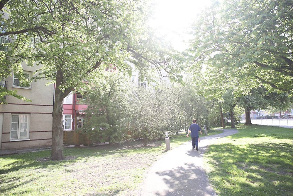 Att promenera på stigen runt huset är både härligt och
nyttigt.
