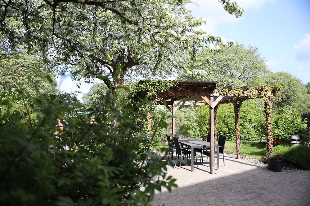 Pergolan i den lummiga och skyddade trädgården ger en stunds avkoppling.