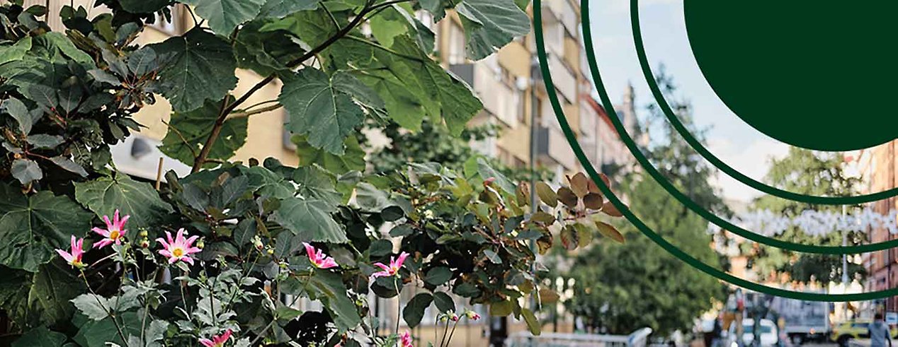 Gröna växter i Malmös centrum med illustration för Malmö och Planeten