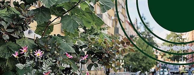 Gröna växter i Malmös centrum med illustration för Malmö och Planeten