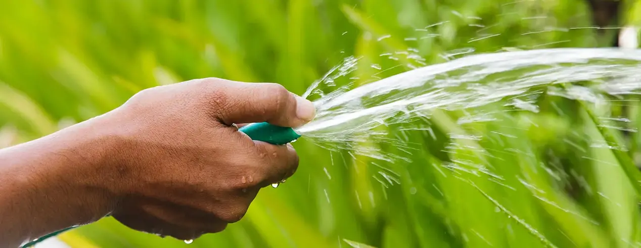 En hand som håller i en vattenslang. 