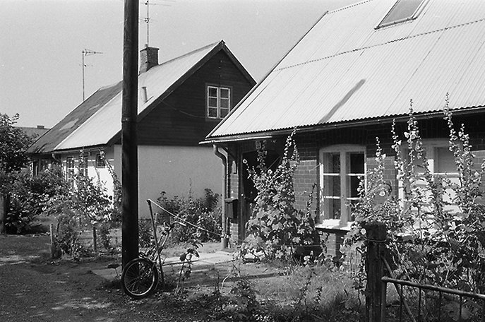 Svartvitt foto av två villor med mycket grönska.