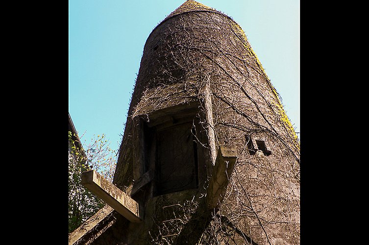 Märklig spetsig byggnad överväxt av klängväxter.