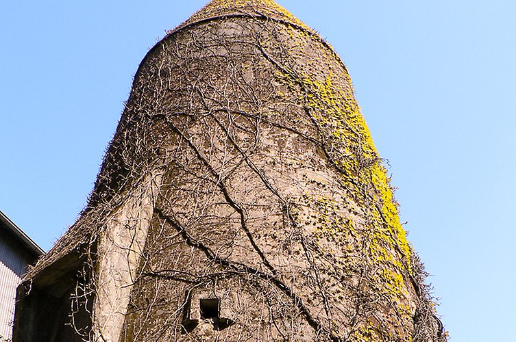 Märklig spetsig byggnad överväxt av klängväxter.