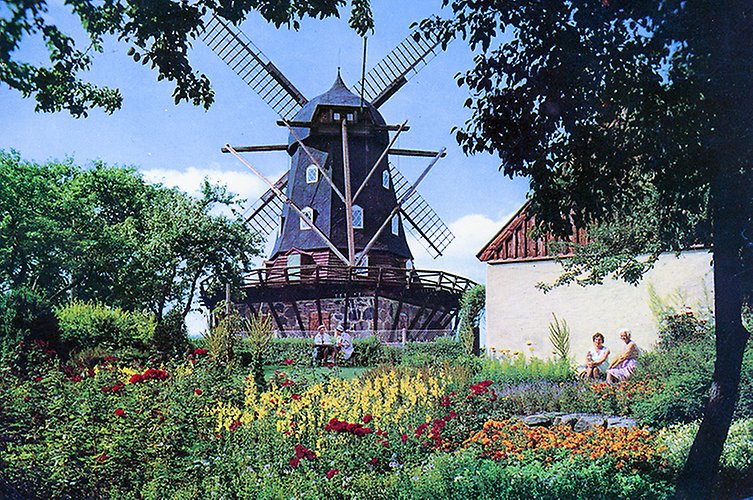 Färgglad vykortsbild av väderkvarn med blommig trädgård i förgrunden.