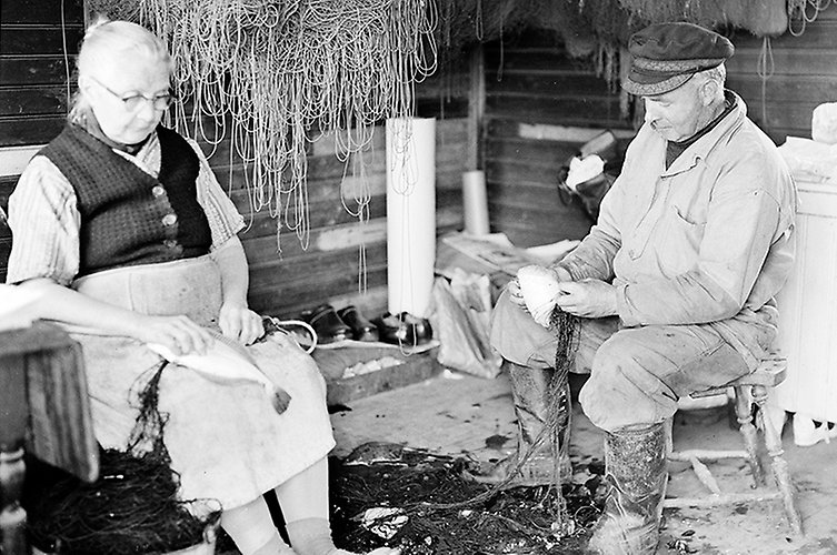 Bild på fiskaren Karl Bröns och hans mor som arbetar med sillen. Bilden är tagen år 1955 i kvarteret Aborren. 