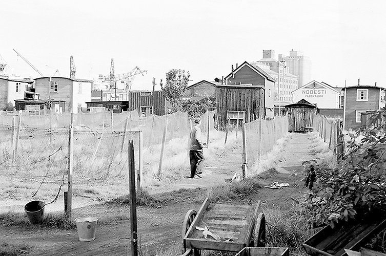 Bild från kvarteret Abborren år 1955. På bilden syns en man framför sillabodarna 