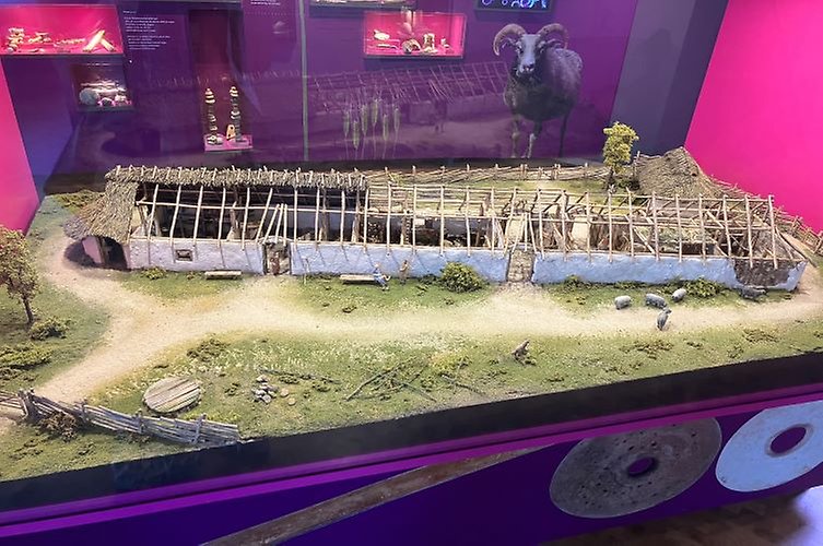 Miniatyrmodell av avlångt hus och omgivande gård från järnåldern.  