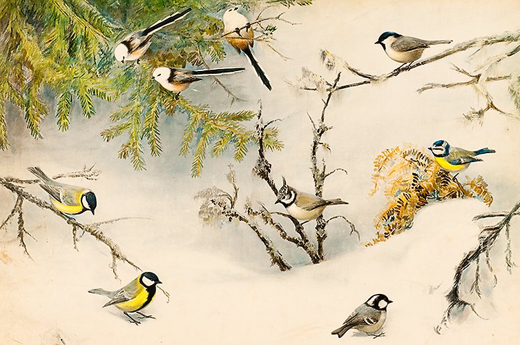 Målning med fåglar som sitter på grenar och på snö.