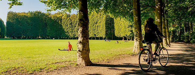 Person cyklar genom Tallriken i Pildammsparken. Det ser ut att vara varm och sen vår eller sommar. Långt borta mellan träden på gräset vilar någon.