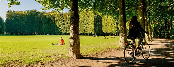 Person cyklar genom Tallriken i Pildammsparken. Det ser ut att vara varm och sen vår eller sommar. Långt borta mellan träden på gräset vilar någon.